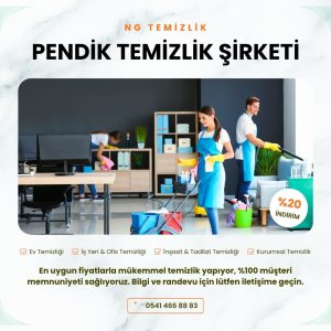 Pendik Temizlik Şirketi